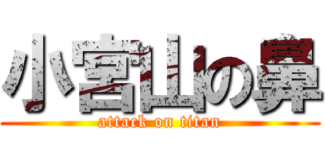 小宮山の鼻 (attack on titan)