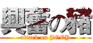 興奮の豬 (attack on JOEY)
