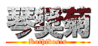 琴奨菊 (Kothibosis)