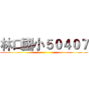 林口國小５０４０７ ()