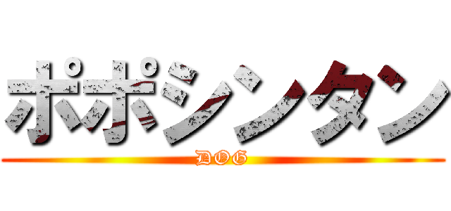 ポポシンタン (DOG)