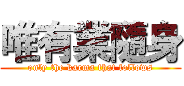 唯有業隨身 (only the karma that follows)