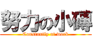 努力の小磚 (Constantly at work)