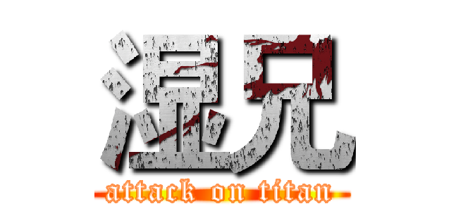 湿兄 (attack on titan)