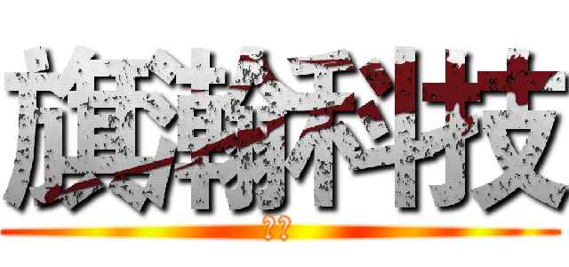 旗瀚科技 (我们)