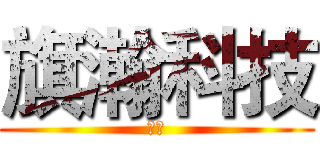 旗瀚科技 (我们)