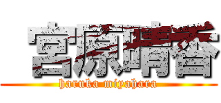  宮原晴香 (haruka miyahara)