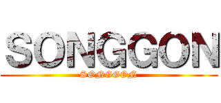ＳＯＮＧＧＯＮ (SONGGON)