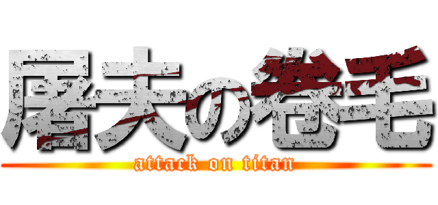 屠夫の卷毛 (attack on titan)