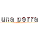 ｕｎａ ｐｅｒｒａ (sorprendente)