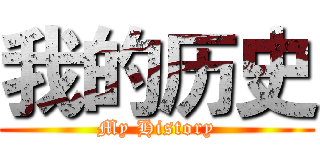 我的历史 (My History)