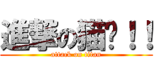 進撃の猫鱼！！ (attack on titan)