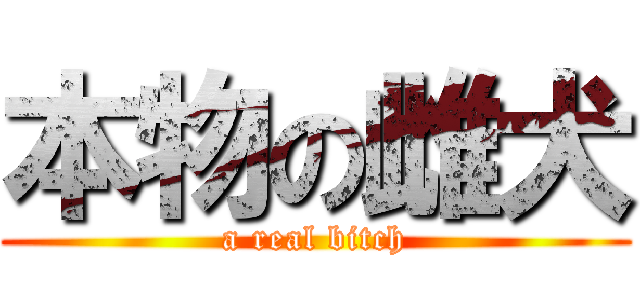 本物の雌犬 (a real bitch)