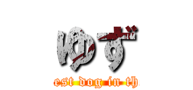 ゆず (The highest dog in the world )