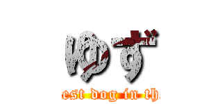 ゆず (The highest dog in the world )