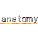 ａｎａｔｏｍｙ (attack on titan)
