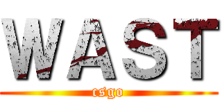 ＷＡＳＴ (csgo)