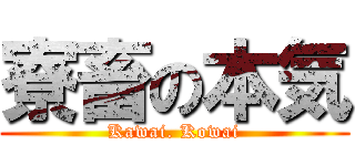 寮畜の本気 (Kawai. Kowai)