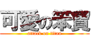 可愛の笨寶 (attack on titan)