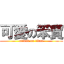 可愛の笨寶 (attack on titan)