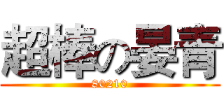 超棒の晏青 (80210)