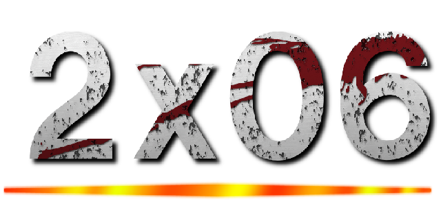 ２ｘ０６ ()