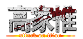 高家惟 (attack on titan)