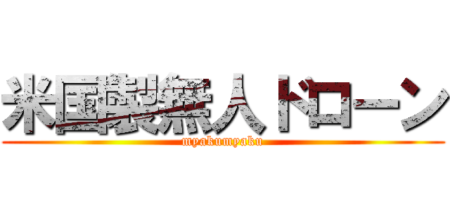米国製無人ドローン (myakumyaku)