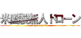 米国製無人ドローン (myakumyaku)