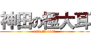 神田の極大耳 (end•オブ•earー)