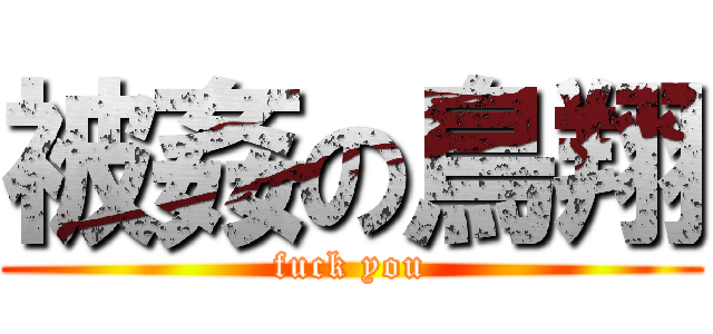 被姦の鳥翔 (fuck you)