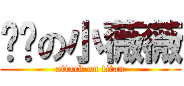 亲爱の小薇薇 (attack on titan)