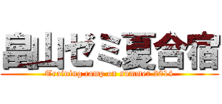 畠山ゼミ夏合宿 (Training camp on summer 2014)