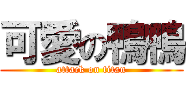 可愛の鴨鴨 (attack on titan)