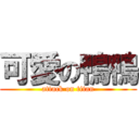 可愛の鴨鴨 (attack on titan)