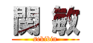 関 敏 (sekibin)