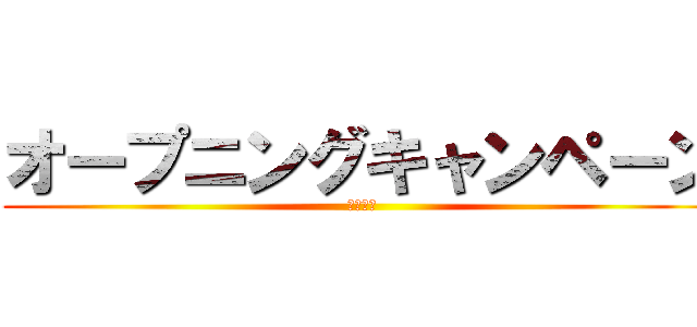 オープニングキャンペーン (年末年始)