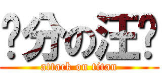 满分の汪兴 (attack on titan)