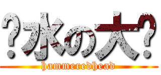 积水の大脑 (hammeredhead)