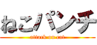 ねこパンチ (attack on cat)