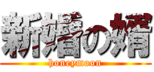 新婚の婿 (honeymoon)