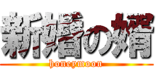 新婚の婿 (honeymoon)