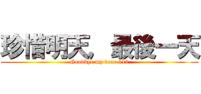 珍惜明天，最後一天 (Goodbye my dear 110)