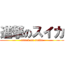 進撃のスイカ (attack on suika)