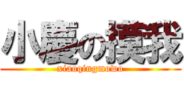 小慶の摸我 (xiaoqingmowo)