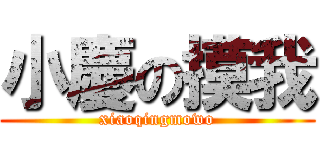 小慶の摸我 (xiaoqingmowo)