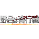 野呂は奇行種 (Noro is kikousyu)