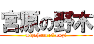 宮原の野木 (miyahara of nogi)