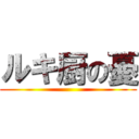 ルキ厨の憂 ()