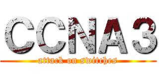 ＣＣＮＡ３ (attack on switches)
